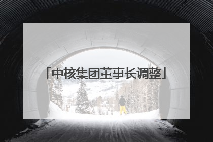 中核集团董事长调整
