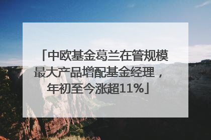中欧基金葛兰在管规模最大产品增配基金经理，年初至今涨超11%
