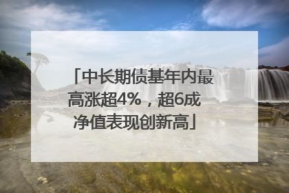 中长期债基年内最高涨超4%，超6成净值表现创新高