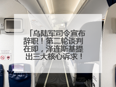 乌陆军司令宣布辞职！第二轮谈判在即，泽连斯基提出三大核心诉求！乌方透露摧毁41架俄战略轰炸机