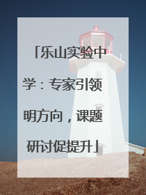 乐山实验中学：专家引领明方向，课题研讨促提升
