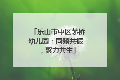 乐山市中区茅桥幼儿园：同频共振，聚力共生