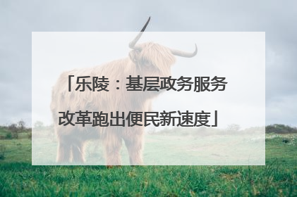 乐陵：基层政务服务改革跑出便民新速度