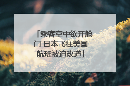 乘客空中欲开舱门 日本飞往美国航班被迫改道