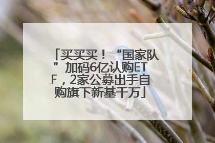 买买买！“国家队”加码6亿认购ETF，2家公募出手自购旗下新基千万