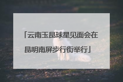 云南玉昆球星见面会在昆明南屏步行街举行
