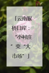 云南猴桥口岸：“小村庄”变“大市场”