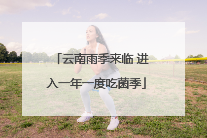 云南雨季来临 进入一年一度吃菌季