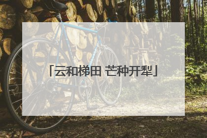 云和梯田 芒种开犁
