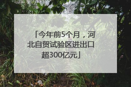 今年前5个月，河北自贸试验区进出口超300亿元