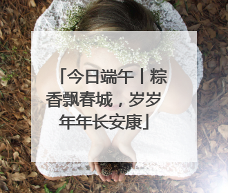 今日端午丨粽香飘春城，岁岁年年长安康