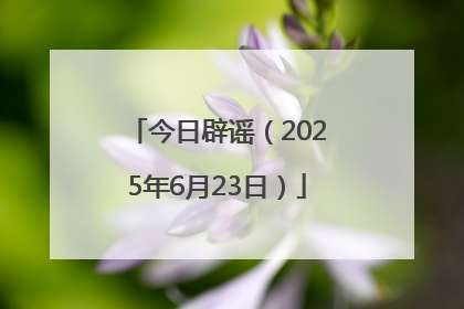 今日辟谣（2025年6月23日）