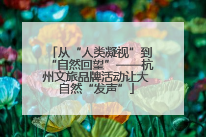 从“人类凝视”到“自然回望”——杭州文旅品牌活动让大自然“发声”