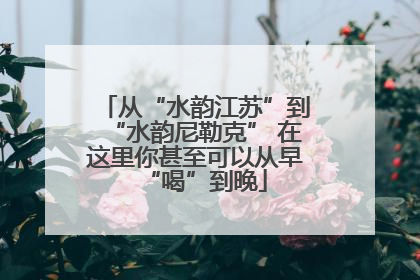从“水韵江苏”到“水韵尼勒克” 在这里你甚至可以从早“喝”到晚