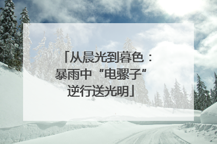 从晨光到暮色：暴雨中“电骡子”逆行送光明