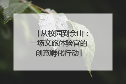 从校园到佘山：一场文旅体验官的创意孵化行动