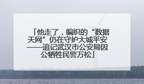 他走了，编织的“数据天网”仍在守护大城平安——追记武汉市公安局因公牺牲民警万松