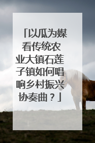 以瓜为媒 看传统农业大镇石莲子镇如何唱响乡村振兴协奏曲？