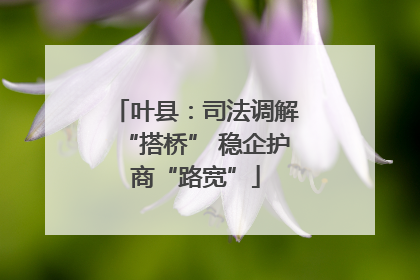 叶县：司法调解“搭桥” 稳企护商“路宽”