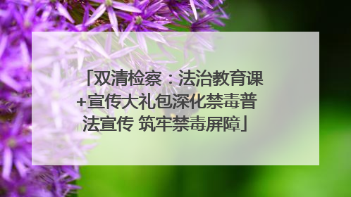 双清检察：法治教育课+宣传大礼包深化禁毒普法宣传 筑牢禁毒屏障