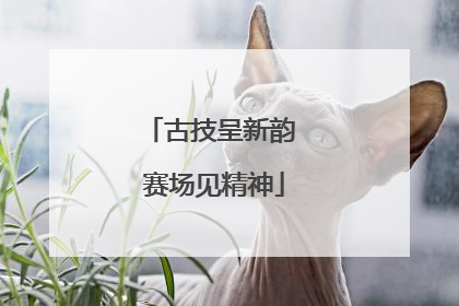 古技呈新韵 赛场见精神