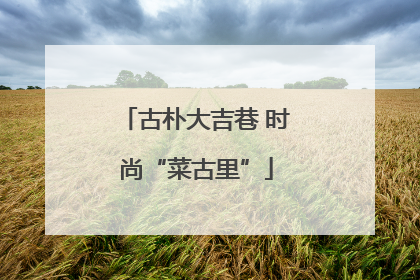 古朴大吉巷 时尚“菜古里”