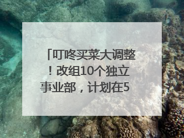 叮咚买菜大调整！改组10个独立事业部，计划在5月完成App端全面改版
