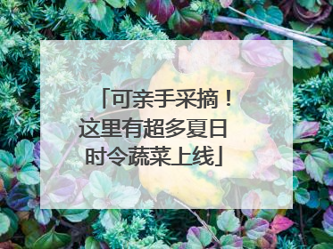 可亲手采摘！这里有超多夏日时令蔬菜上线