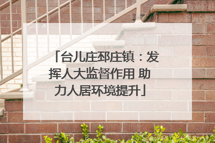 台儿庄邳庄镇：发挥人大监督作用 助力人居环境提升