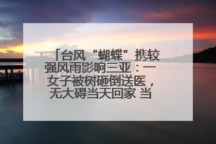台风“蝴蝶”携较强风雨影响三亚：一女子被树砸倒送医，无大碍当天回家 当地已紧急清障