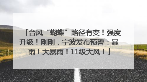 台风“蝴蝶”路径有变！强度升级！刚刚，宁波发布预警：暴雨！大暴雨！11级大风！