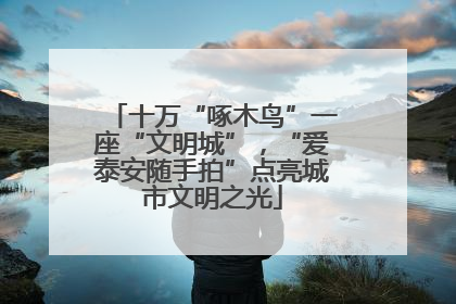 十万“啄木鸟”一座“文明城”，“爱泰安随手拍”点亮城市文明之光