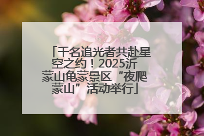 千名追光者共赴星空之约！2025沂蒙山龟蒙景区“夜爬蒙山”活动举行