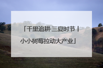 千里追耕·三夏时节丨小小树莓拉动大产业