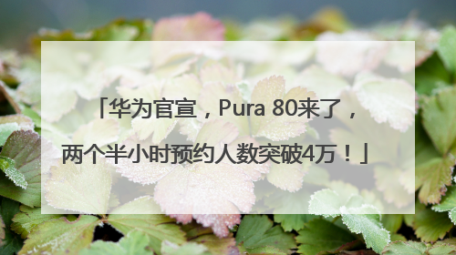 华为官宣，Pura 80来了，两个半小时预约人数突破4万！