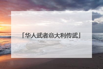 华人武者意大利传武