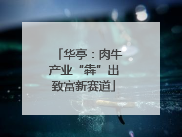 华亭：肉牛产业“犇”出致富新赛道