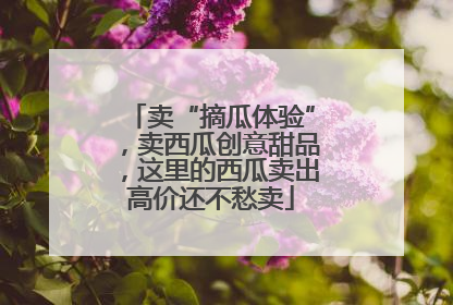 卖“摘瓜体验”，卖西瓜创意甜品，这里的西瓜卖出高价还不愁卖