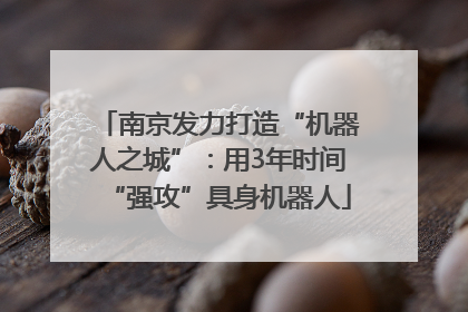 南京发力打造“机器人之城”：用3年时间“强攻”具身机器人