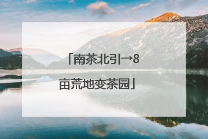 南茶北引→8亩荒地变茶园