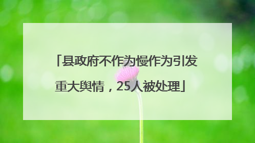 县政府不作为慢作为引发重大舆情，25人被处理