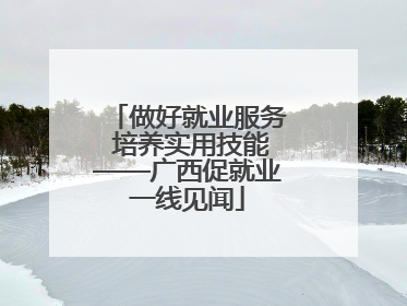 做好就业服务 培养实用技能——广西促就业一线见闻