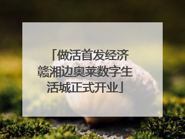 做活首发经济 赣湘边奥莱数字生活城正式开业