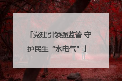 党建引领强监管 守护民生“水电气”