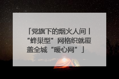 党旗下的烟火人间丨“蜂巢型”网格织就覆盖全城“暖心网”