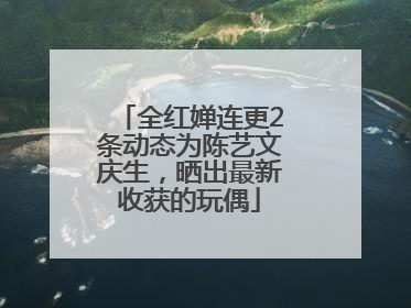 全红婵连更2条动态为陈艺文庆生，晒出最新收获的玩偶