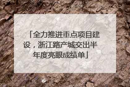 全力推进重点项目建设，浙江路产城交出半年度亮眼成绩单