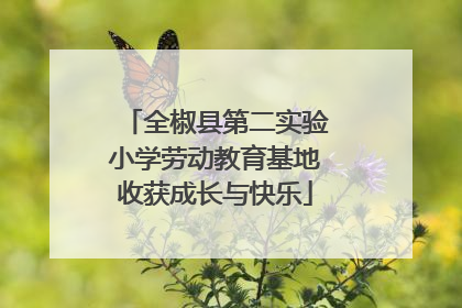 全椒县第二实验小学劳动教育基地收获成长与快乐
