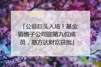 公募巨头入场！基金销售子公司迎第九位成员，易方达财富获批