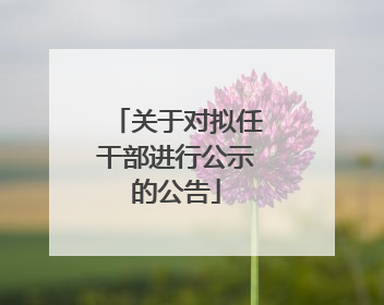 关于对拟任干部进行公示的公告